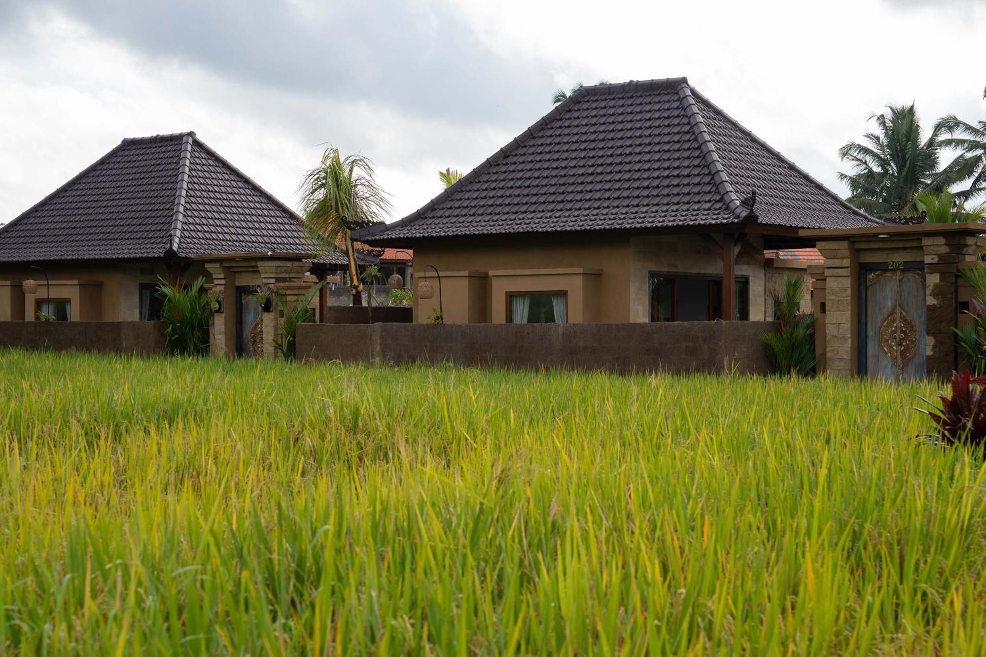 Sawah Sebatu Villa Ubud Extérieur photo