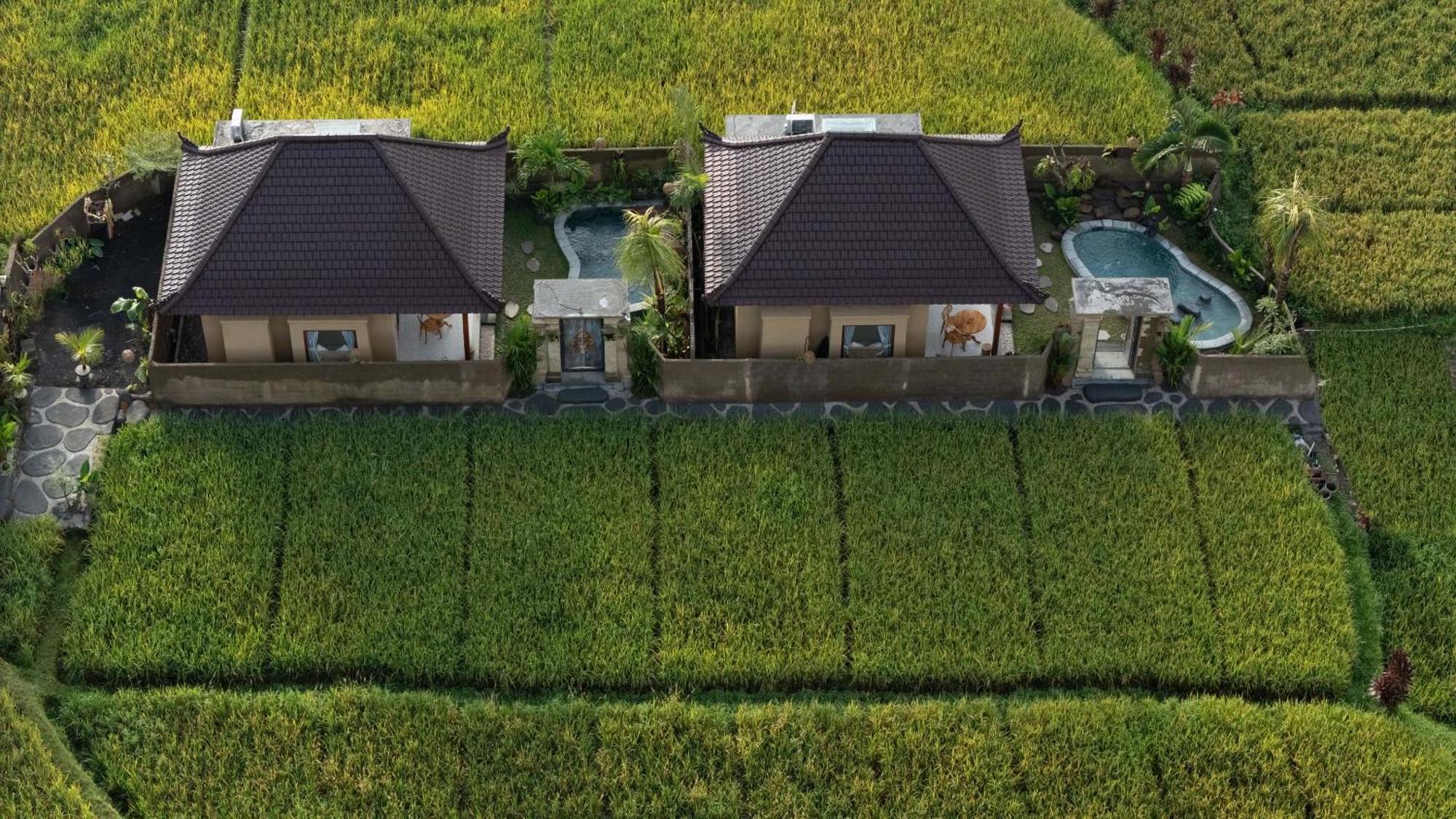 Sawah Sebatu Villa Ubud Extérieur photo