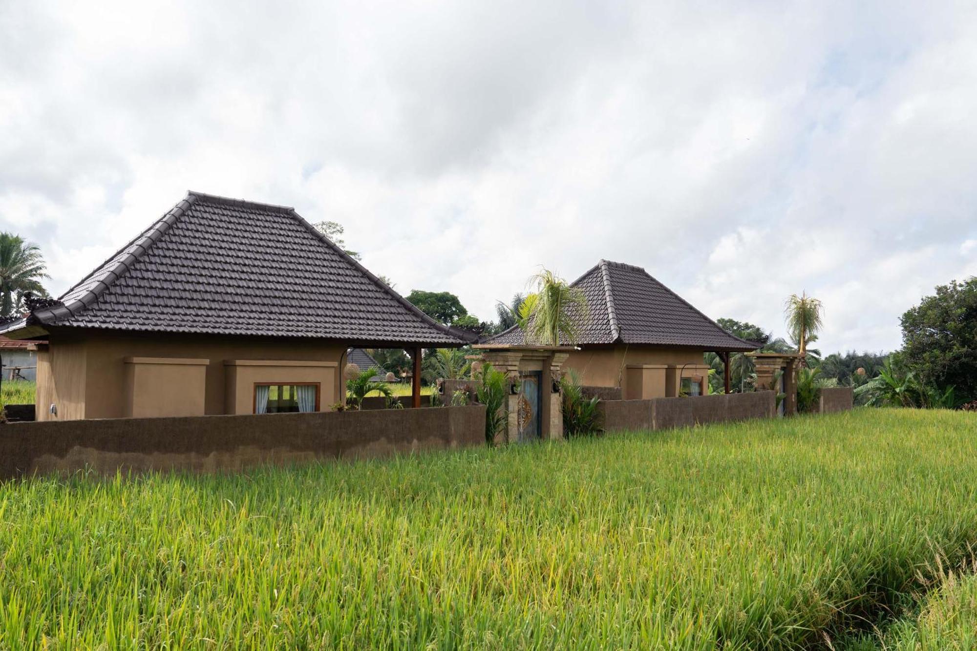 Sawah Sebatu Villa Ubud Extérieur photo