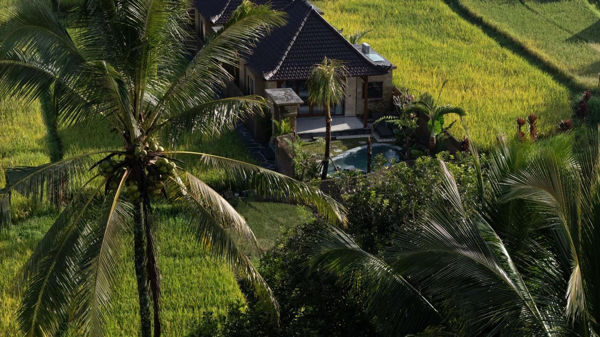 Sawah Sebatu Villa Ubud Extérieur photo