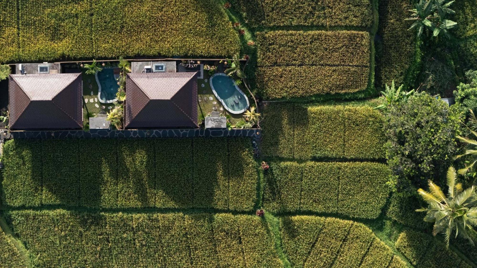 Sawah Sebatu Villa Ubud Extérieur photo