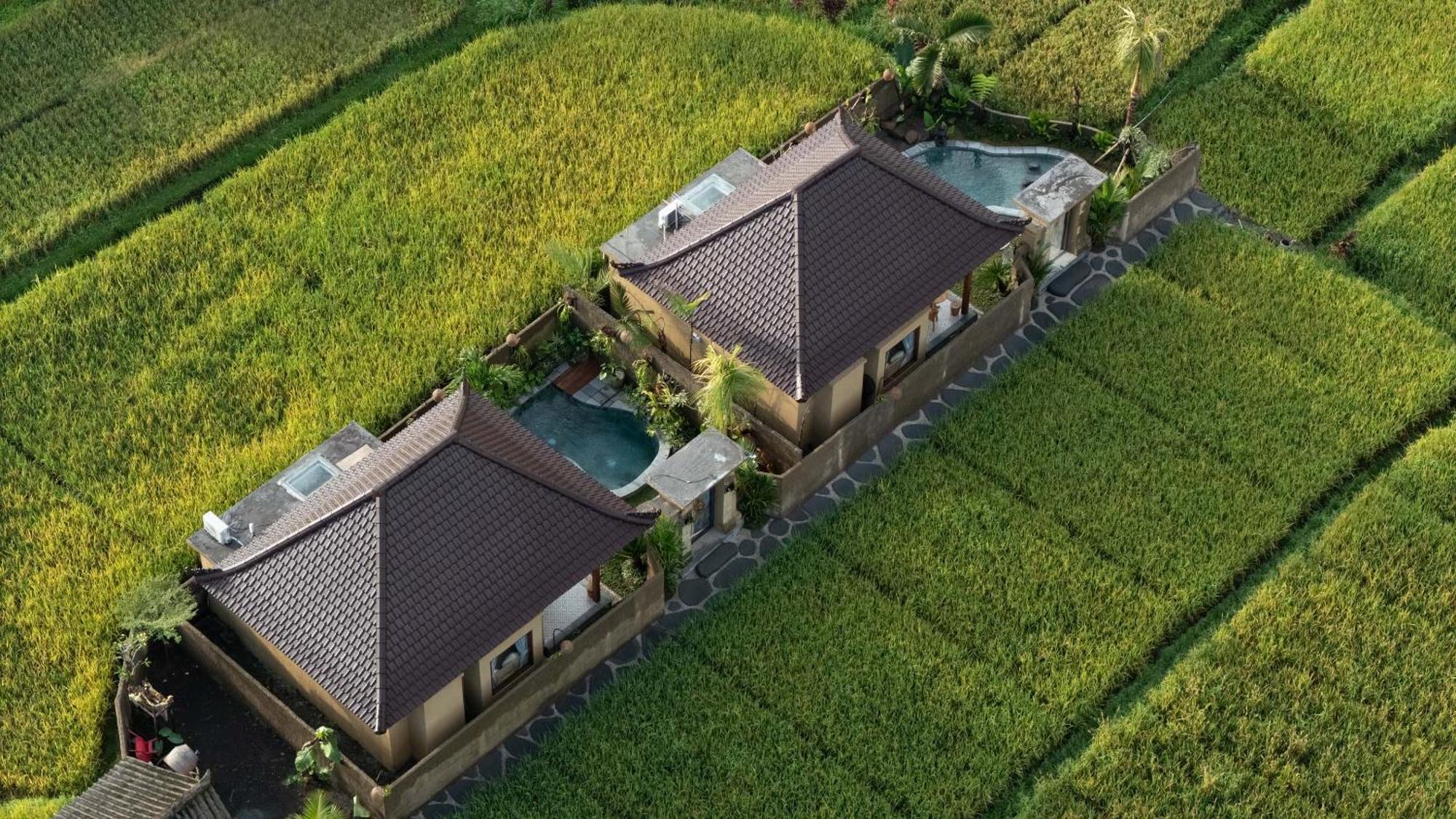 Sawah Sebatu Villa Ubud Extérieur photo